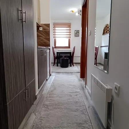 Apartment Suri Centar *