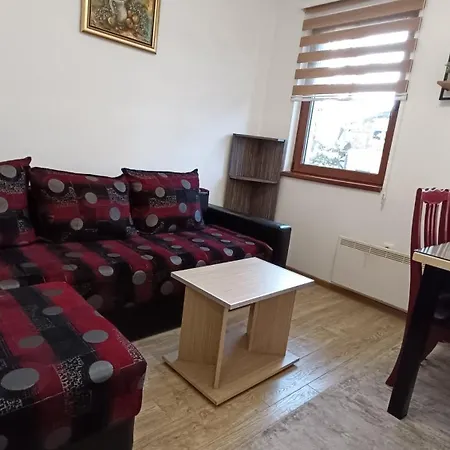 Suri Centar Apartment Kopaonik