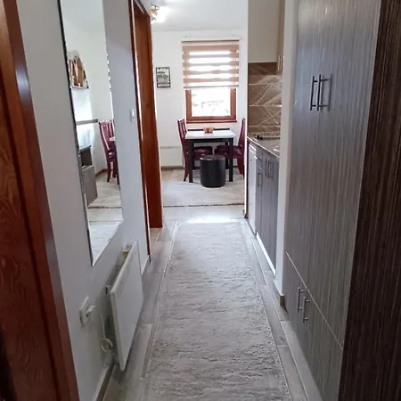 Apartment Suri Centar *